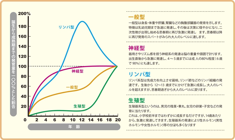 スキャモンの発達・発育曲線